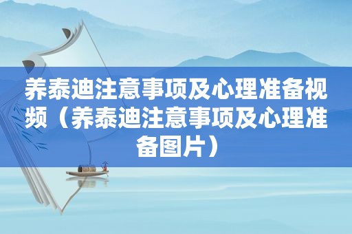 养泰迪注意事项及心理准备视频（养泰迪注意事项及心理准备图片）