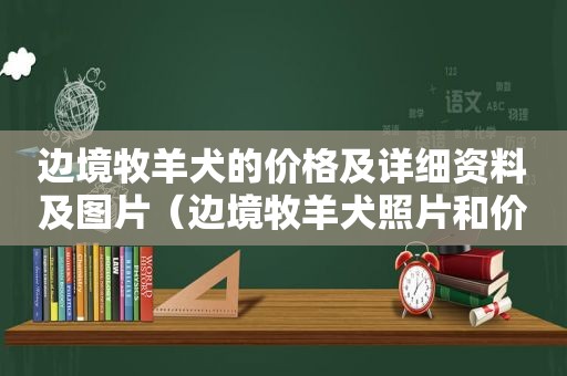 边境牧羊犬的价格及详细资料及图片（边境牧羊犬照片和价格）