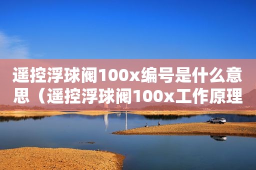 遥控浮球阀100x编号是什么意思（遥控浮球阀100x工作原理）