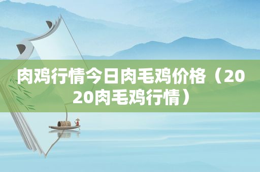 肉鸡行情今日肉毛鸡价格（2020肉毛鸡行情）