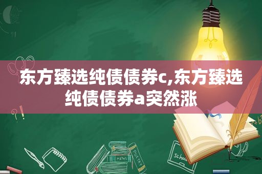 东方臻选纯债债券c,东方臻选纯债债券a突然涨