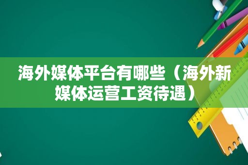 海外媒体平台有哪些（海外新媒体运营工资待遇）