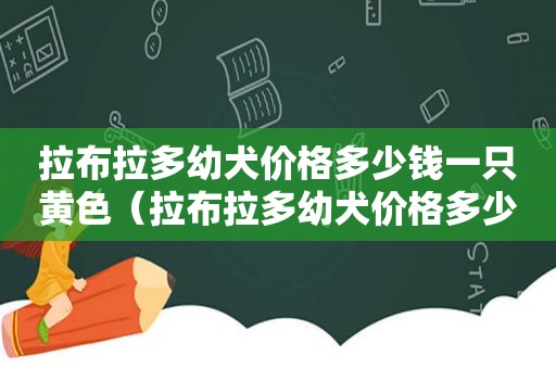 拉布拉多幼犬价格多少钱一只黄色（拉布拉多幼犬价格多少钱一只黑色大狗）