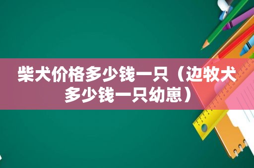 柴犬价格多少钱一只（边牧犬多少钱一只幼崽）