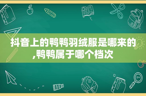 抖音上的鸭鸭羽绒服是哪来的,鸭鸭属于哪个档次