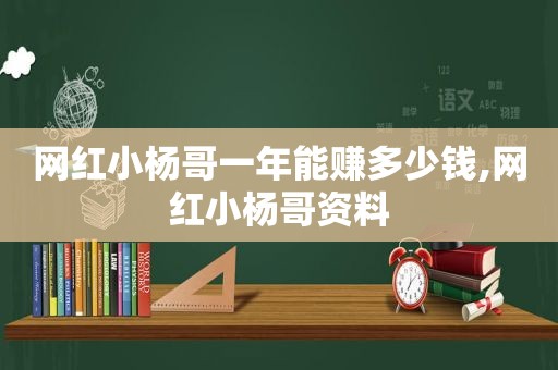 网红小杨哥一年能赚多少钱,网红小杨哥资料