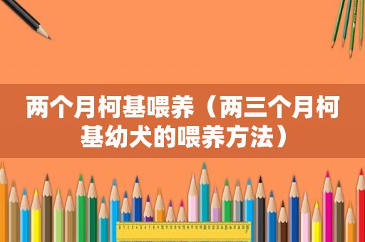 两个月柯基喂养（两三个月柯基幼犬的喂养方法）