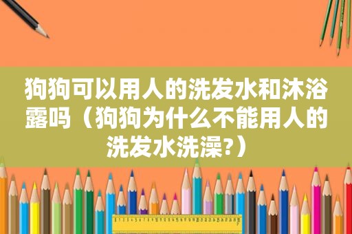 狗狗可以用人的洗发水和沐浴露吗（狗狗为什么不能用人的洗发水洗澡?）