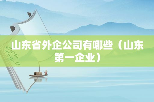 山东省外企公司有哪些（山东第一企业）