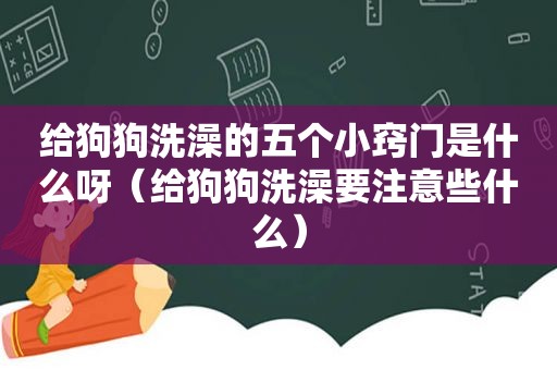 给狗狗洗澡的五个小窍门是什么呀（给狗狗洗澡要注意些什么）