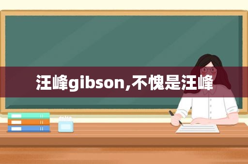 汪峰gibson,不愧是汪峰