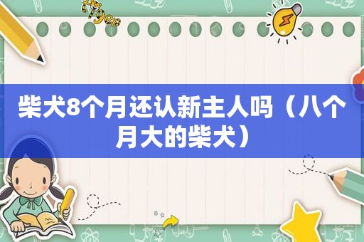 柴犬8个月还认新主人吗（八个月大的柴犬）