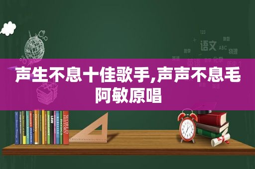 声生不息十佳歌手,声声不息毛阿敏原唱