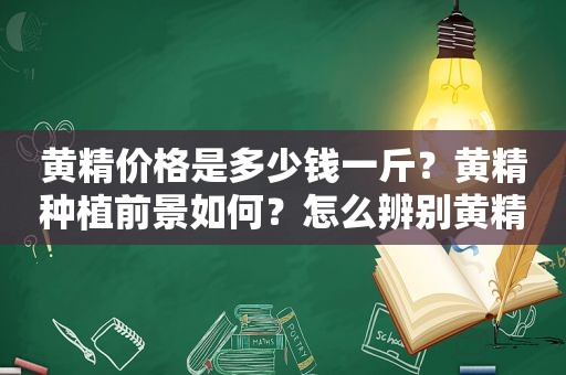 黄精价格是多少钱一斤？黄精种植前景如何？怎么辨别黄精品种？