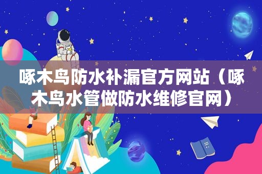 啄木鸟防水补漏官方网站（啄木鸟水管做防水维修官网）