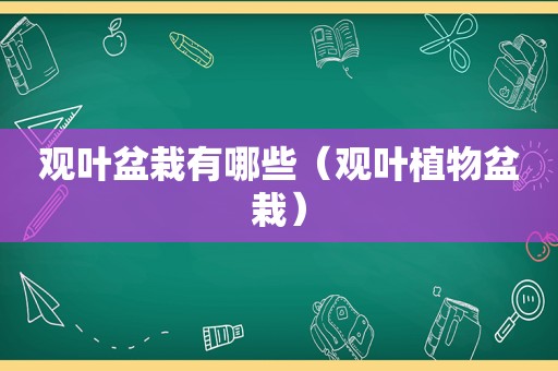 观叶盆栽有哪些（观叶植物盆栽）