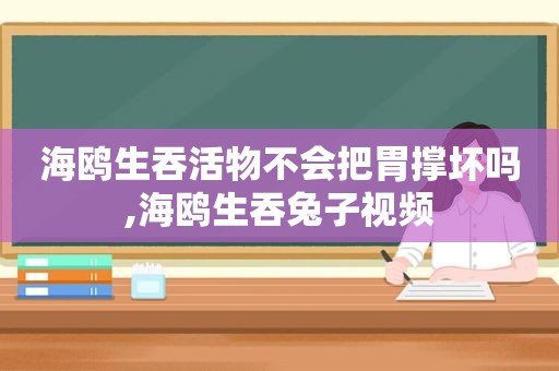 海鸥生吞活物不会把胃撑坏吗,海鸥生吞兔子视频