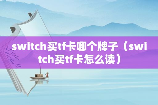 switch买tf卡哪个牌子（switch买tf卡怎么读）