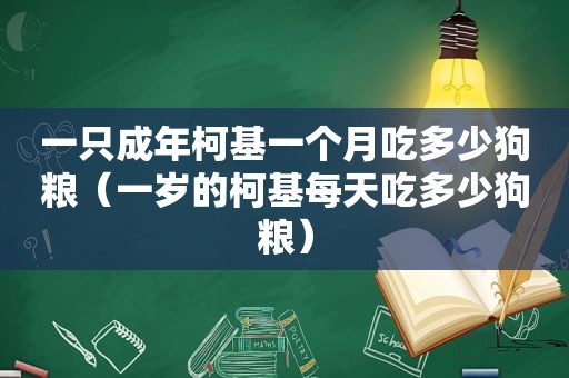 一只成年柯基一个月吃多少狗粮（一岁的柯基每天吃多少狗粮）