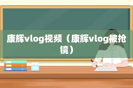 康辉vlog视频（康辉vlog被抢镜）