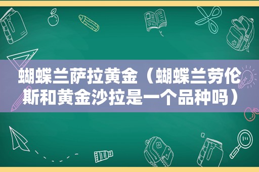 蝴蝶兰萨拉黄金（蝴蝶兰劳伦斯和黄 *** 拉是一个品种吗）