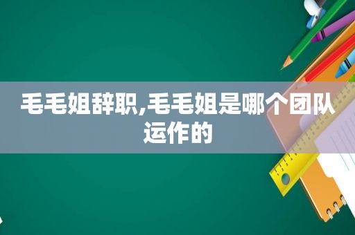 毛毛姐辞职,毛毛姐是哪个团队运作的