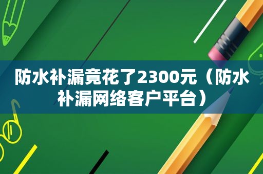 防水补漏竟花了2300元（防水补漏网络客户平台）