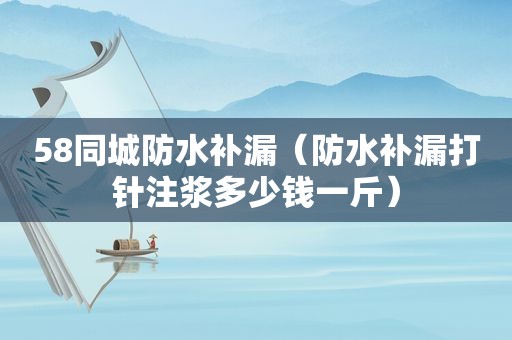 58同城防水补漏（防水补漏打针注浆多少钱一斤）