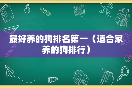 最好养的狗排名第一（适合家养的狗排行）