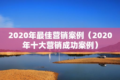 2020年最佳营销案例（2020年十大营销成功案例）