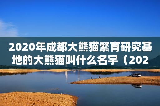 2020年成都大熊猫繁育研究基地的大熊猫叫什么名字（2020年是闰年吗）