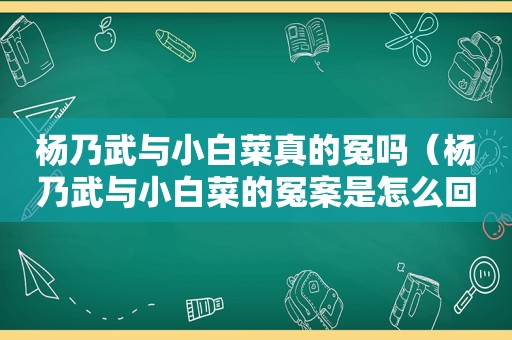 杨乃武与小白菜真的冤吗（杨乃武与小白菜的冤案是怎么回事）