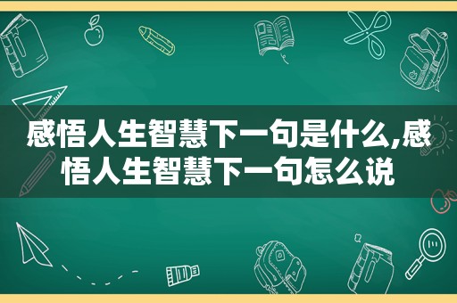 感悟人生智慧下一句是什么,感悟人生智慧下一句怎么说