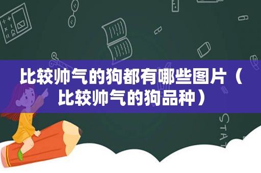 比较帅气的狗都有哪些图片（比较帅气的狗品种）