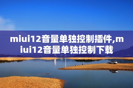 miui12音量单独控制插件,miui12音量单独控制下载