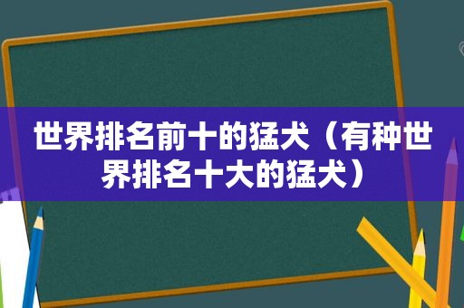 世界排名前十的猛犬（有种世界排名十大的猛犬）