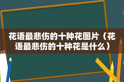 花语最悲伤的十种花图片（花语最悲伤的十种花是什么）