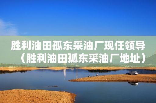 胜利油田孤东采油厂现任领导（胜利油田孤东采油厂地址）