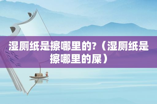 湿厕纸是擦哪里的?（湿厕纸是擦哪里的屎）