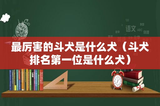 最厉害的斗犬是什么犬（斗犬排名第一位是什么犬）