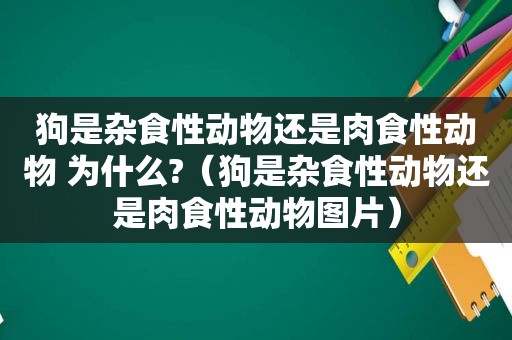 狗是杂食性动物还是肉食性动物 为什么?（狗是杂食性动物还是肉食性动物图片）