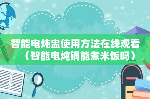 智能电炖盅使用方法在线观看（智能电炖锅能煮米饭吗）