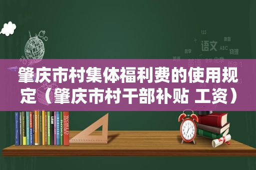 肇庆市村集体福利费的使用规定（肇庆市村干部补贴 工资）