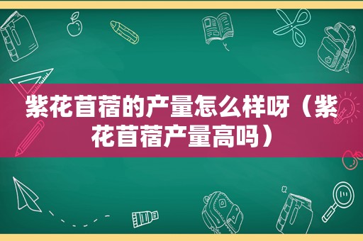 紫花苜蓿的产量怎么样呀（紫花苜蓿产量高吗）