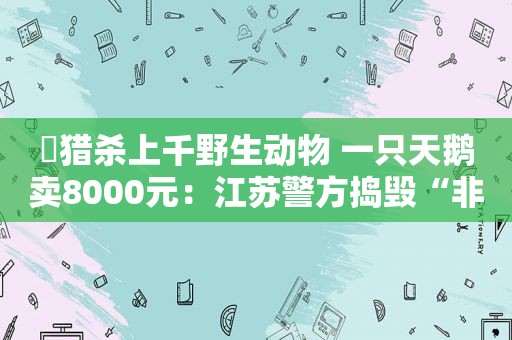 ​猎杀上千野生动物 一只天鹅卖8000元：江苏警方捣毁“非法猎捕”团伙