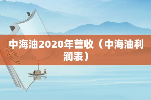 中海油2020年营收（中海油利润表）