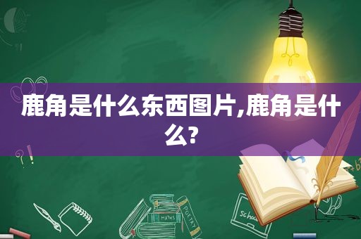 鹿角是什么东西图片,鹿角是什么?