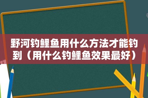 野河钓鲤鱼用什么方法才能钓到（用什么钓鲤鱼效果最好）