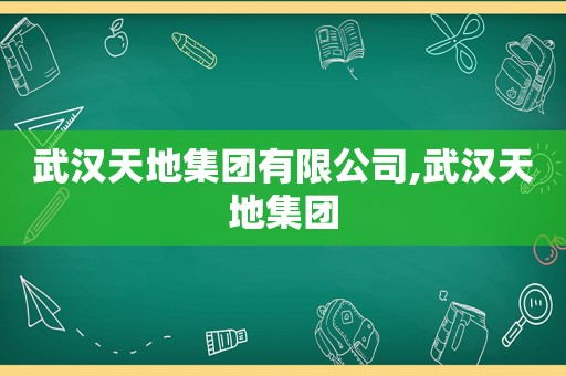 武汉天地集团有限公司,武汉天地集团