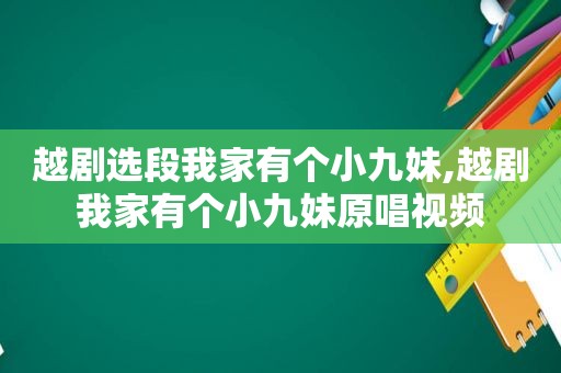 越剧选段我家有个小九妹,越剧我家有个小九妹原唱视频